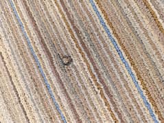 Room Carpet