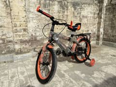 Brand new cycle
