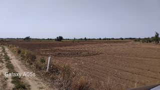 80 kanal agricultural land for sale in balksar walana