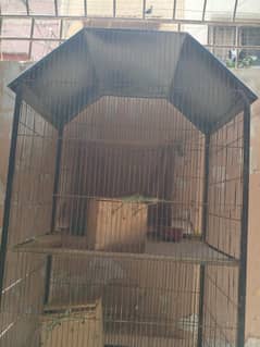 Birds cage