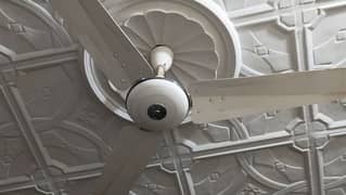 New silling fan energy saving copper wire