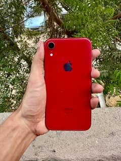 iPhone XR Pta Approved