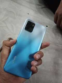 vivo