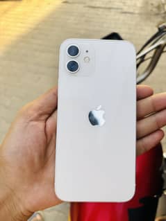 iPhone 12 PTA Approved