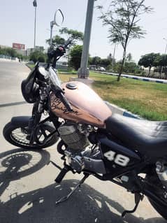 Harley