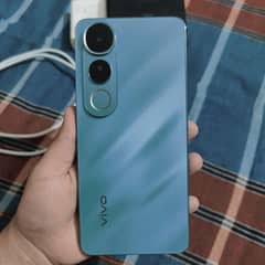 vivo