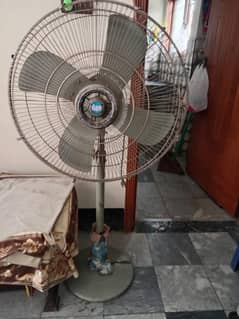 pedistal fan for sell
