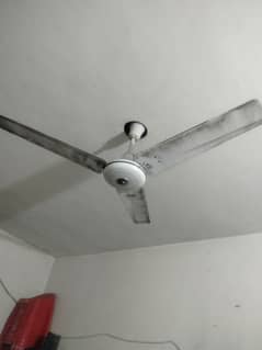 fan