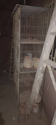 bird cage for sale
