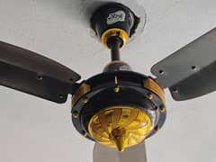 2 AC Fans (2 months used only)