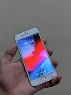 iphone 6