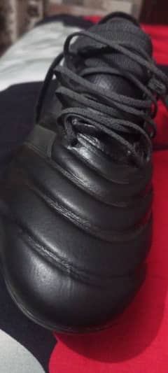 foot