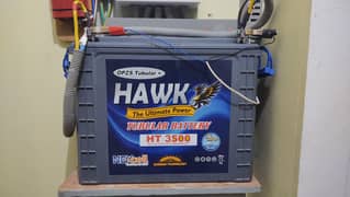 Hawk