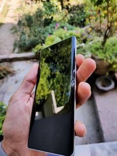 vivo v40 display frame and back