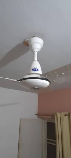 PAK FAN CELLING FAN 56"