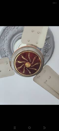 Ceiling fan