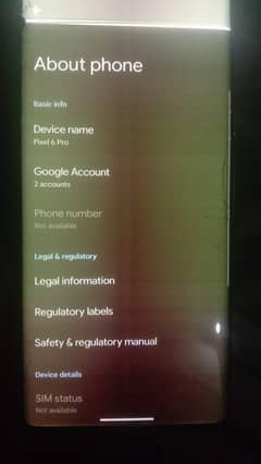Google pixel 6 pro RAM 12GB ROM 128 GB