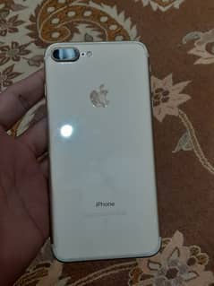03125336292