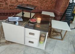 Multifunctional Center table