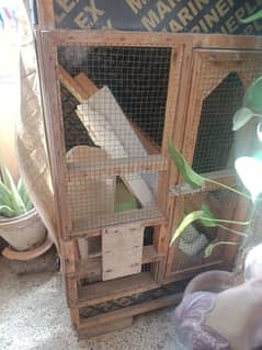 Aseel roasters cages for sale