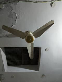 Indus fan 6month use only