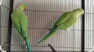 for
