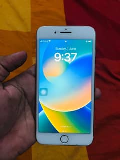 iphone 8 plus pta approve