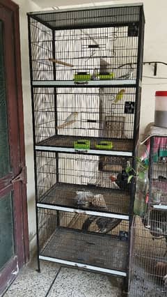 1 Month USED PARROTS CAGE FOR SALE|Price negotiable
