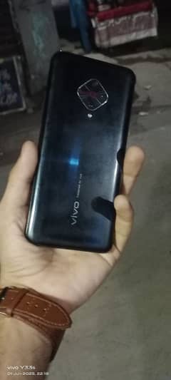 vivo
