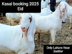 Only Bakra Qurbani kasai available reasonable price
