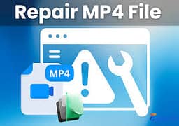 mp4