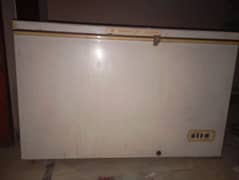 used only for few months A one condition