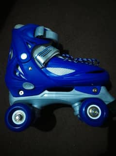Double Roller Skates New