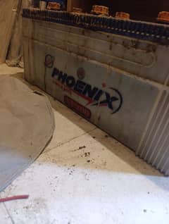 phoenix xp 200 big size