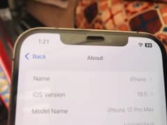 Iphone12proMax