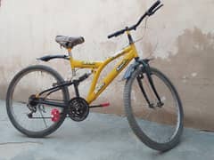 Bicycle