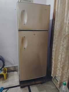 Haier