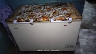 hair deep freezer