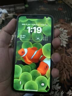 iPhone