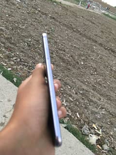 LG