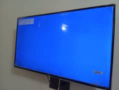 Haier