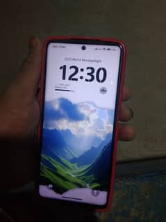 03190832065 WhatsApp