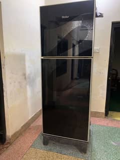 Hair Refrigerator Dc inverter