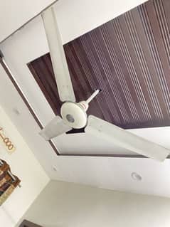 Celling fan for sale