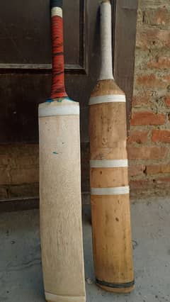coconut bat for sale
