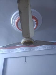 fans and washing machine