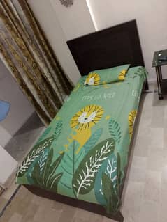 Single bed with Mattress