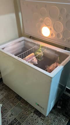 Deep Freezer Haier single door Genuine excellent condition