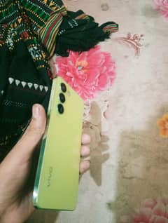 vivo