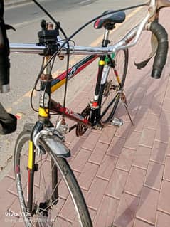 racing cycle imported